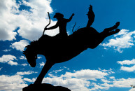ProRodeo-3