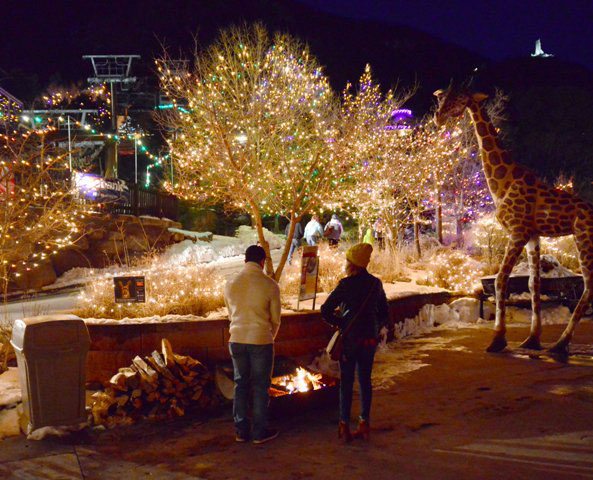 Holiday Shopping Cheyenne Mountain Zoo