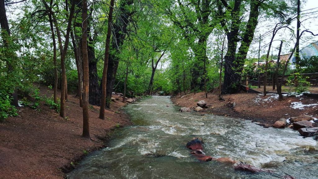 Manitou Springs Picnic